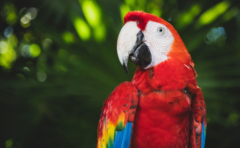 معلومات عامة معلومات عامة