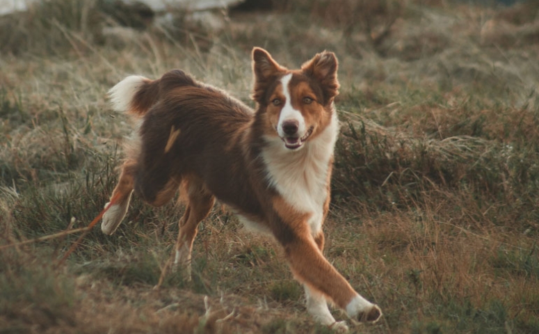 معلومات عامة معلومات عامة