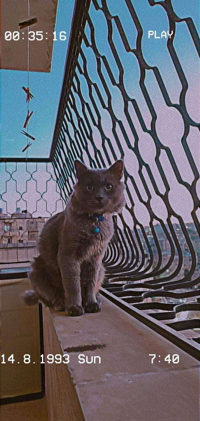 الاردن عمان جبل اللخضر