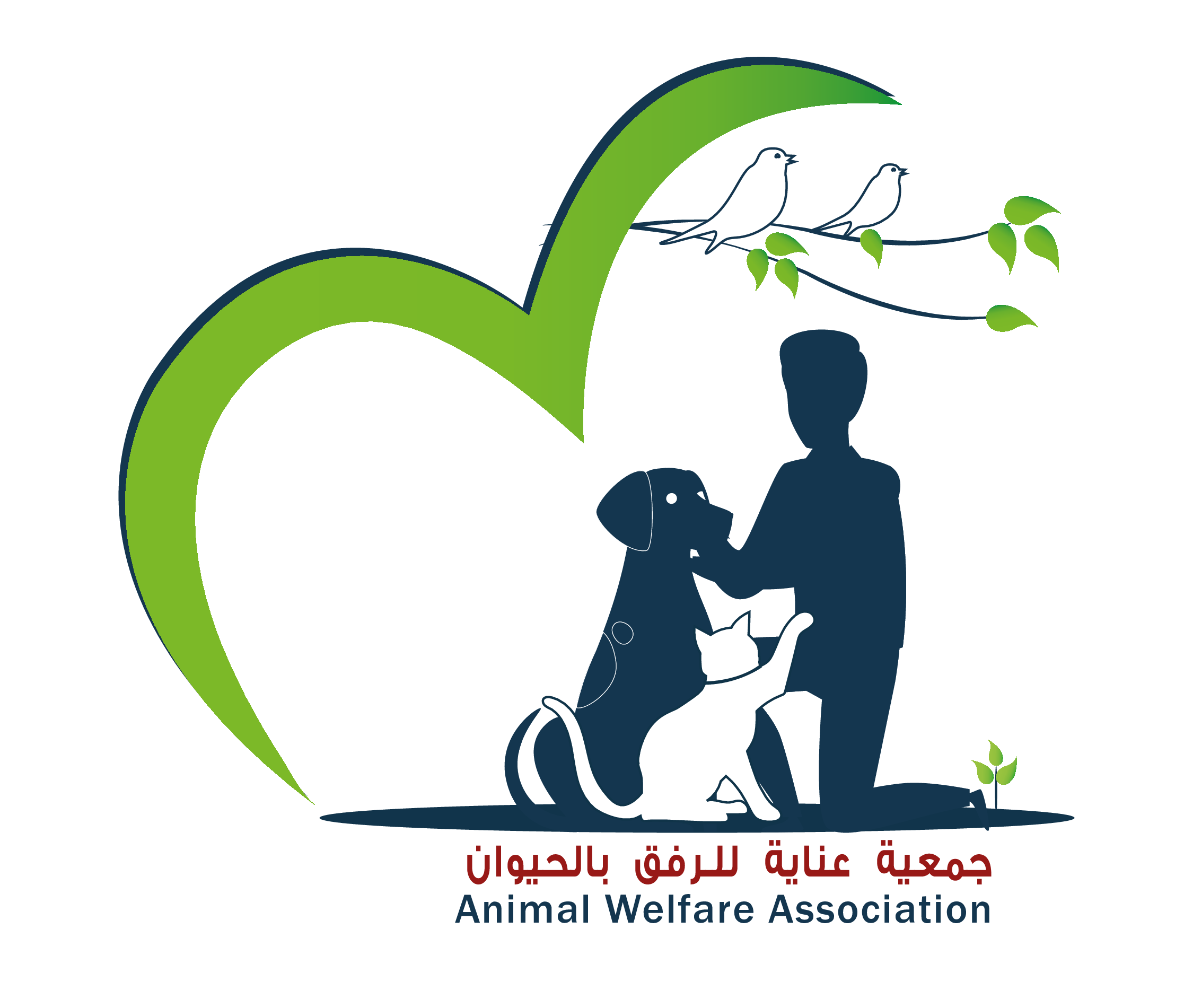 جمعية عناية تحذر من تفاقم ظاهرة الكلاب الضالة جراء تأخير تخصيص مأوى لها