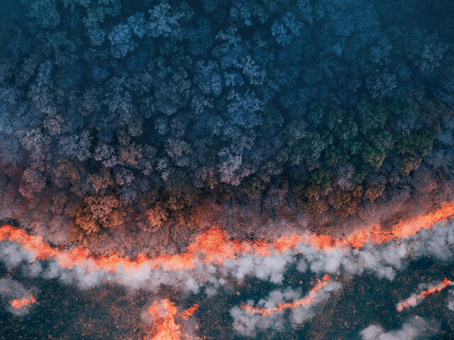 هل يؤدي تغير المناخ إلى زيادة خطر الكوارث؟ هل يؤدي تغير المناخ إلى زيادة خطر الكوارث؟