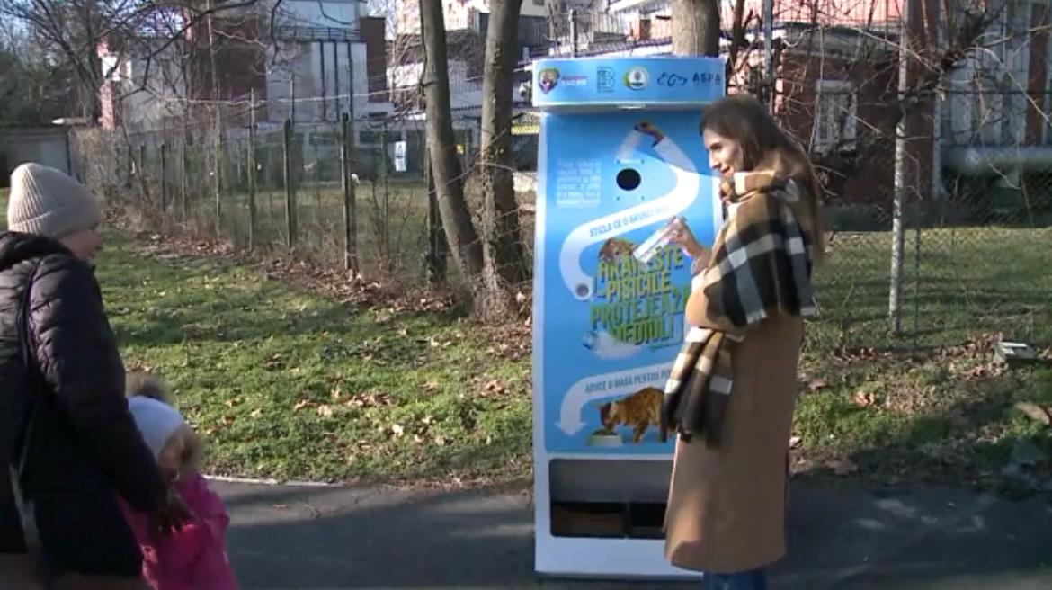 رومانيا: إطعام القطط الضالة بإعادة تدوير عبوات بلاستيكية..