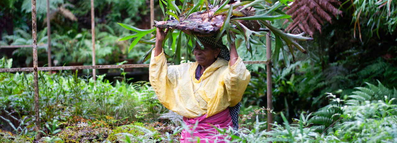Meet Kerala’s ‘rainforest gardeners’ creating a Noah’s ark for endangered plants