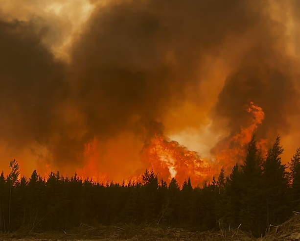 Canada wildfire season already second worst on record as experts warn of ‘new reality