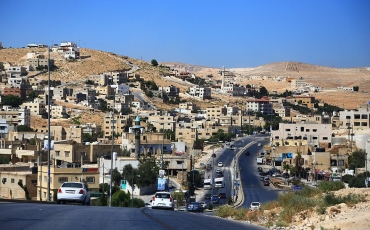 كيف استطاعت مدينة أردنية كبح جماح الكلاب الضالة؟
