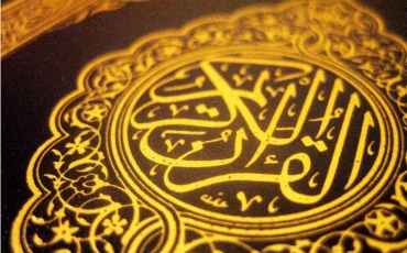 آيات قرآنية تدل على مكانة الحيوانات وأهمية الرفق بها