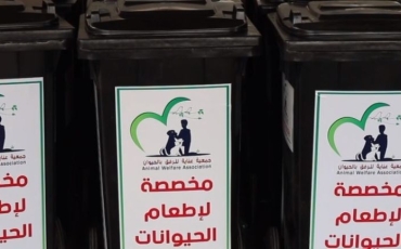 حاويات مخصصة لإطعام الكلاب الضالة في الزرقاء